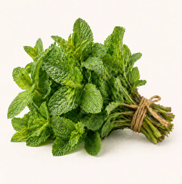 Menthe (bouquet)