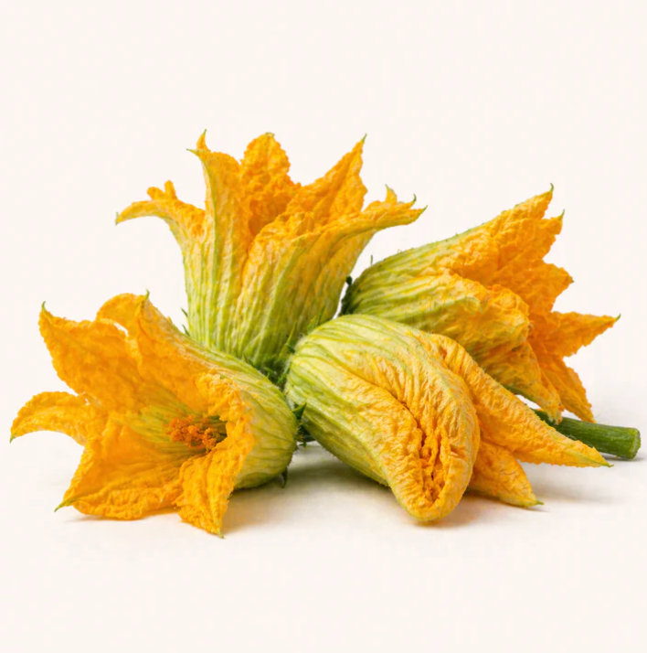 Fleurs de courgette x6