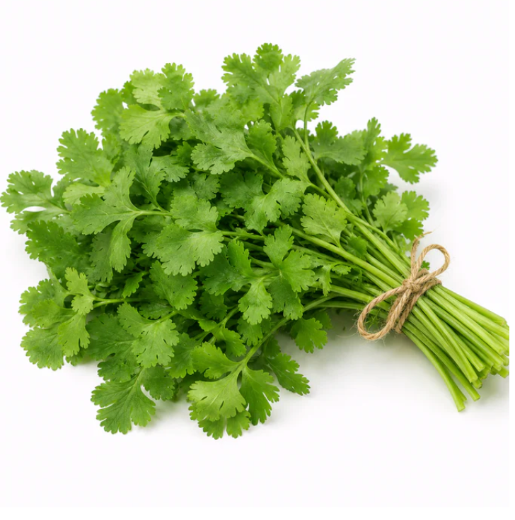 Coriandre (bouquet)