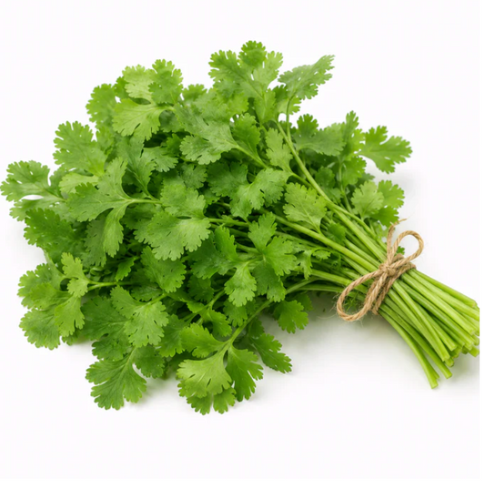 Coriandre (bouquet)
