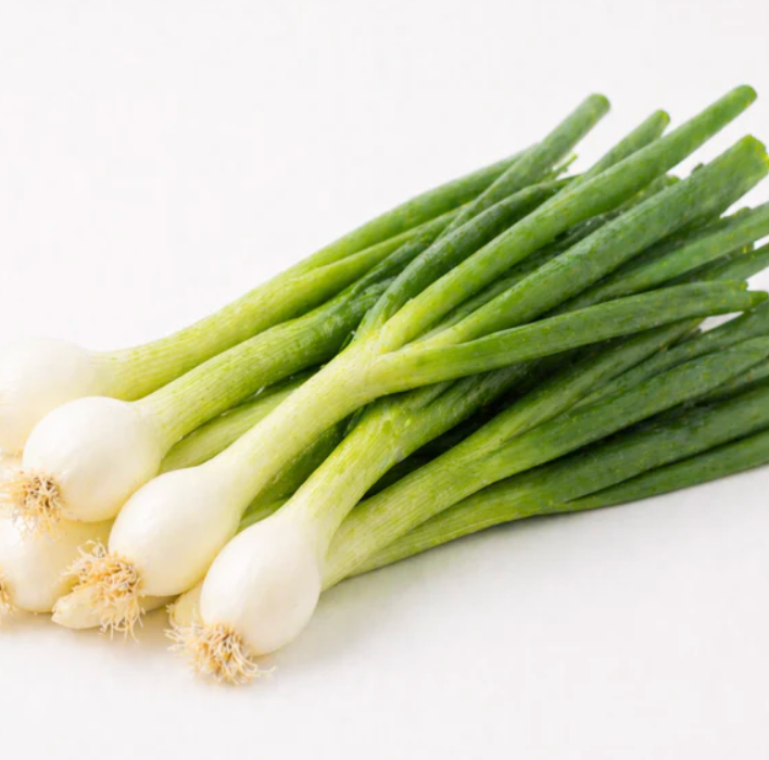 Oignons nouveaux (botte)
